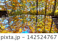 Autumn Air Shrine [Asahi Town, Yamagata Prefecture] 142524767