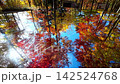 Autumn Air Shrine [Asahi Town, Yamagata Prefecture] 142524768