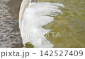 Contaminated industrial water foam in a concrete container with polluted wastewater at a treatment plant close up 142527409