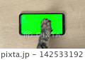 Cat paw touching, clicking, tapping and swiping phone with chromakey screen. Feline Paw typing smartphone with green background. Close-up. Chroma key horizontal mock up for advertising Cat using phone 142533192