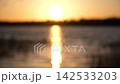 Blurred defocused video. Abstract soft focus sunset Lake landscape. Trees, lake, grass meadow. Warm golden hour sunrise time. Tranquil spring summer nature. Forest background. Idyllic nature 142533203