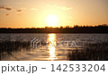 Blurred defocused video. Abstract soft focus sunset Lake landscape. Trees, lake, grass meadow. Warm golden hour sunrise time. Tranquil spring summer nature. Forest background. Idyllic nature. 142533204