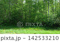 View through side window of car auto in motion on road. Highway along green forest and trees in summer. Tourism and travel, journey trip concept. Beautiful nature and landscape. Car speeding on road. 142533210