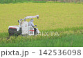 A scene of rice harvesting using a combine harvester driven by a woman. 142536098