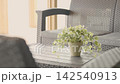 A video depicting a spacious living room with houseplants. 142540913