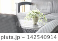 A video depicting a spacious living room with houseplants. 142540914