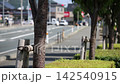 A video showcasing the refreshing image of a town with lush greenery and a breeze blowing through a blue sky. 142540915
