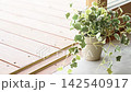 A video depicting a spacious living room with houseplants. 142540917