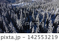 Aerial view of winter mountain snow covered forest  142553219