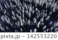 Aerial view of winter mountain snow covered forest  142553220