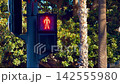 Static view of the countdown of a red traffic light with prohibition to cross the street 142555980