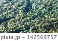 Spring water and fish of Oshino Hakkai 142569757