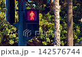 Static view of the countdown of a red traffic light with prohibition to cross the street 142576744