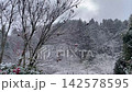 A quiet winter scene of snow-covered mountains and trees dyed white. 142578595
