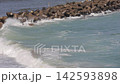 在碧藍的大海中，白色的波浪拍打著防波堤－茨城縣大洗水族館 142593898