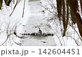 Grey heron walking across frozen stream in winter 142604451