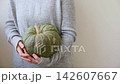 Autumnal moments mood. Unrecognizable woman holding two green autumn fall pumpkin in hands isolated on white background. Change of seasons ripe organic food concept, Halloween party Thanksgiving day 142607667
