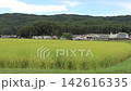 Rice paddies and mountains 142616335