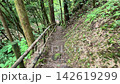 Hinohara Village, mountain path with wooden fence leading down to Ryujin Falls, summer morning, gimbal-assisted shooting. 142619299