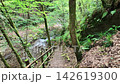 Hinohara Village, Ryujin Falls walking trail: Moss-covered stairs and a small stream, summer morning. 142619300