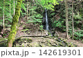 Hinohara Village: Ryujin Falls visible beyond the cedar forest, photographed on a mobile camera in the summer morning. 142619301