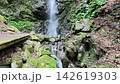 Hinohara Village, a waterfall cascading over moss-covered rocks beside a wooden boardwalk, summer morning, fixed location. 142619303