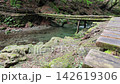Hinohara Village: A wooden bridge over a moss-covered stream, a fixed point on a summer morning. 142619306