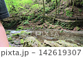 Hinohara Village: A mossy stream flowing beneath a wooden bridge in a valley, summer morning, fixed location. 142619307