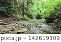 Hinohara Village: A mossy forest valley and a clear stream, summer morning, fixed viewpoint. 142619309