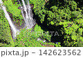 Waterfalls stream through lush canyon in sweeping aerial nature view, surrounded by thick forest, fern covered slopes, and dark rock walls. Waterfalls carve narrow gorge in vivid tropical greenery. 142623562