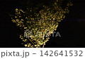 夜裡，街道兩旁的樹木在強風中搖曳。 142641532