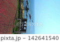 えりも岬（北海道）からの太平洋の絶景と襟裳岬と書かれた看板（縦構図） 142641540