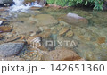 A beautiful, clear stream with a crystal-clear riverbed. 142651360