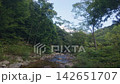 Beautiful mountain streams and forest scenery flowing through the depths of the mountains 142651707