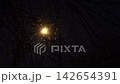 Serene Residential Area Blanketed With Light Snow Under Glowing Streetlights During Cold Night 142654391