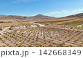 Aerial View of Agricultural Vineyard Rows and Mountain Landscape 142668349