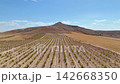 Aerial View of Agricultural Vineyard Rows and Mountain Landscape 142668350
