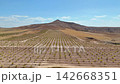 Aerial View of Agricultural Vineyard Rows and Mountain Landscape 142668351