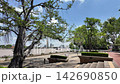 Scenic view of Santichaiprakarn Park overlooking Chao Phraya River in Bangkok 142690850