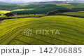 High-resolution aerial footage over vibrant yellow canola fields in the Western Cape, South Africa. An expansive rural landscape of flowering crops, fertile farmland, and open countryside. 142706885