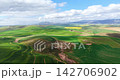 Cinematic aerial footage of bright yellow canola bloom across rural farmland in the Western Cape, South Africa. A serene seasonal landscape of cultivated fields and open countryside. 142706902