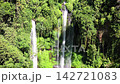 Waterfalls pour down forest cliff, framed by thick tropical greenery and bright moss. Waterfalls define waterfall landscape, with long white streams cutting through dense vegetation in daylight. 142721083
