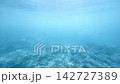 深い青に包まれた広角の水中サンゴ礁 142727389