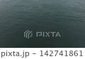 夏の千葉県沖、深い緑色の海面に広がる波紋のドローン空撮	 142741861