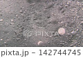 Numerous tiny air bubbles and small particles drift underwater through moving seawater creating soft 142744745