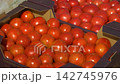 Growing ripe red tomatoes in a modern greenhouse. Organic tomato plants growing in greenhouse interior.  142745976