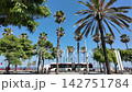 Scenic view of Barceloneta beach promenade with palm trees and bus in Barcelona, Spain 142751784