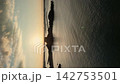 Aerial view of the sunset over Kabushima Island, a breeding ground for black-tailed gulls in Aomori Prefecture, in Hachinohe City. 142753501