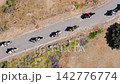 Overhead view of riders on horseback along a rural mountain road 142776774