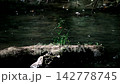 Calm river flow landscape 142778745